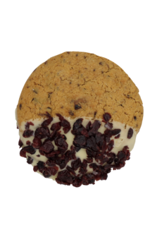 Galleta con Arandanos CN