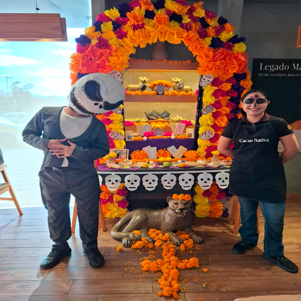 Ámbar - Caracterización