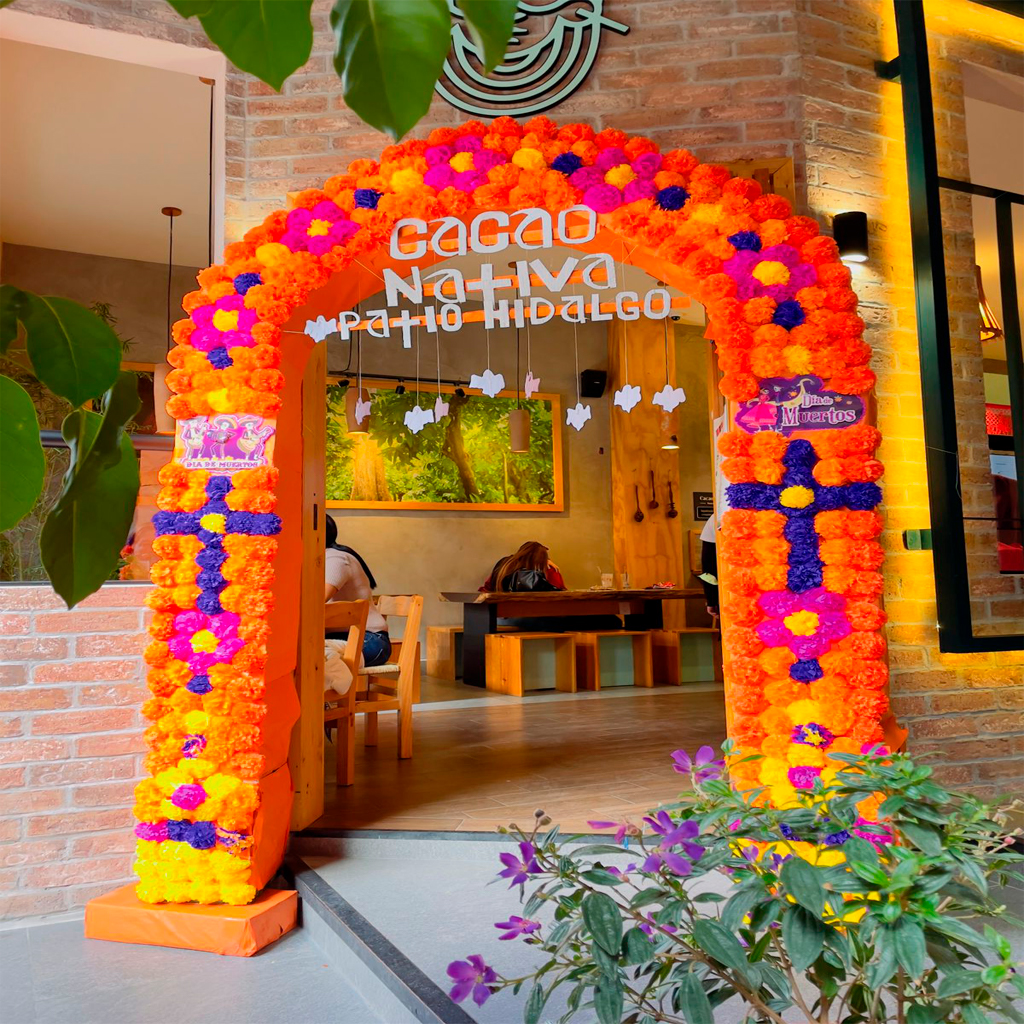 Patio Hidalgo - Decoracion