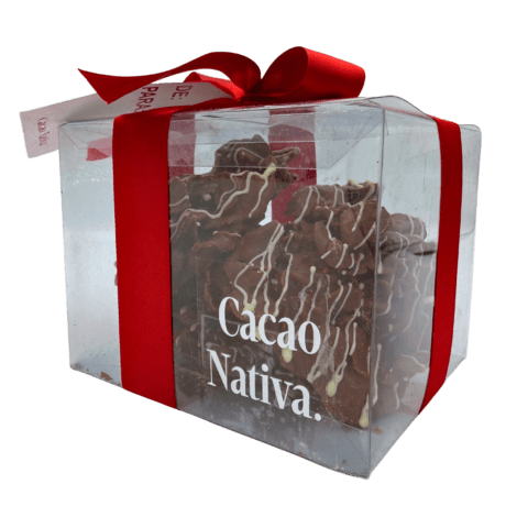 Enjambre de Chocolate Nativa