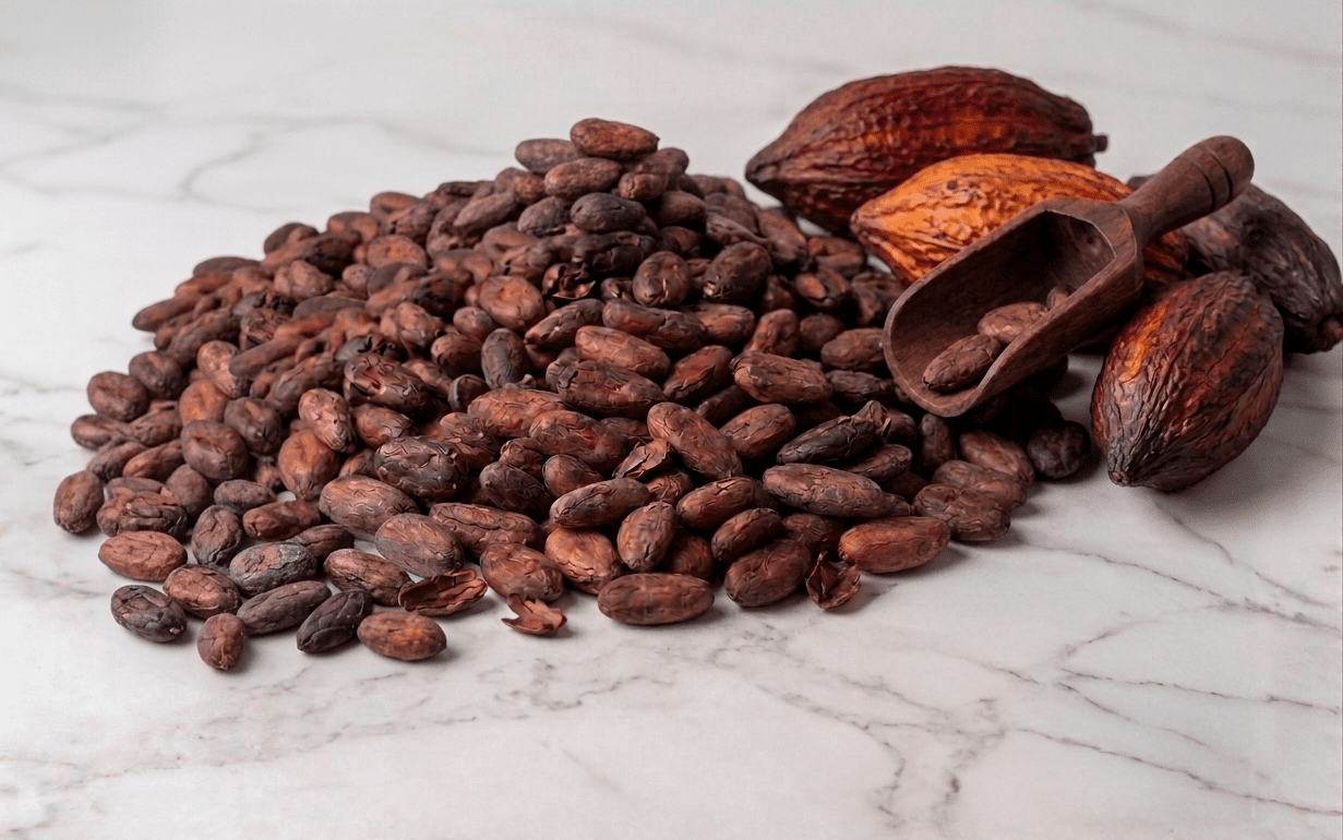 Cacao Fermentado Tostado 25Kg