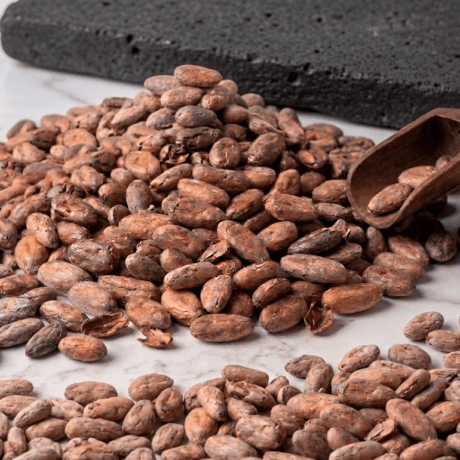Cacao Fermentado Sin Tostar 25Kg
