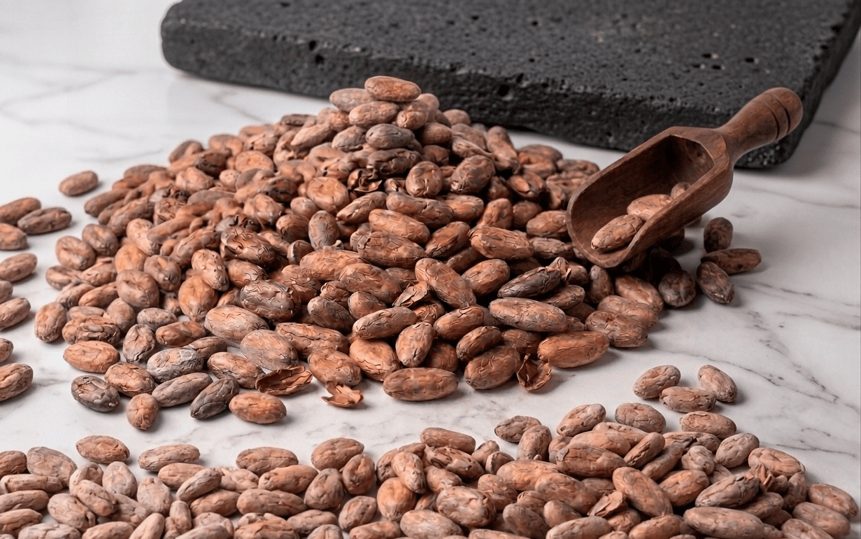 Cacao Fermentado Sin Tostar 25Kg