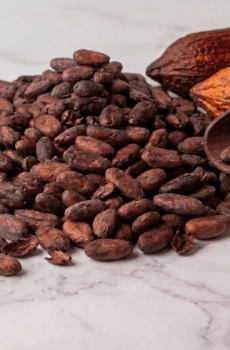 Cacao Fermentado Tostado 25Kg