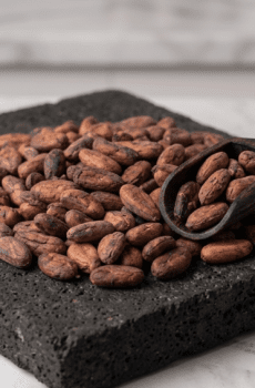 Cacao Fermentado Sin Tostar 1Kg