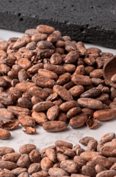 Cacao Fermentado Sin Tostar 25Kg