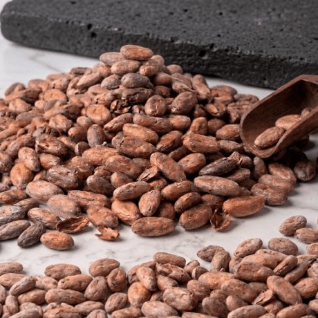 Cacao Fermentado Sin Tostar 25Kg