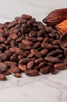 Cacao Fermentado Tostado 25Kg